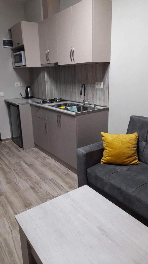 Lovely And Cozy Apartament In ティビリシ エクステリア 写真